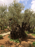 LIMG_1399