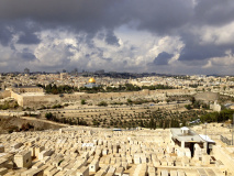 LIMG_1400
