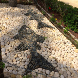 B  img_3209