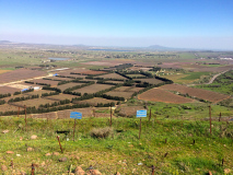 DIMG_4836