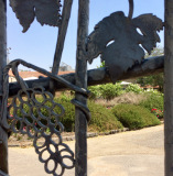 DIMG_8091