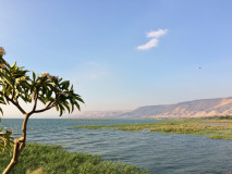 BIMG_8113