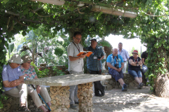 CIsrael-2019-373