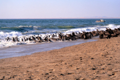 2000 Dia_00050