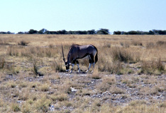 2000 Dia_00261