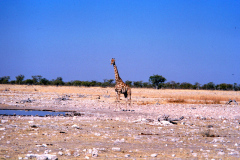 2000 Dia_00265